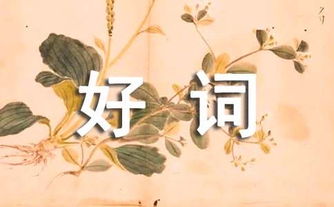 表达内心情感的好词集锦