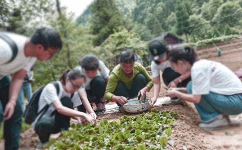 三下乡社会实践总结