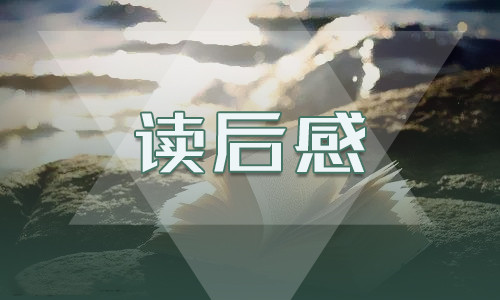 最新唐吉柯德读后感精选5篇