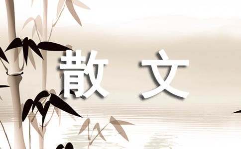 小路弯弯的散文