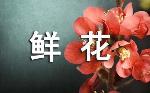 鲜花盛开的春天说说