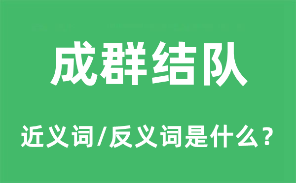 成群结队的近义词和反义词是什么 成群结队是什么意思?