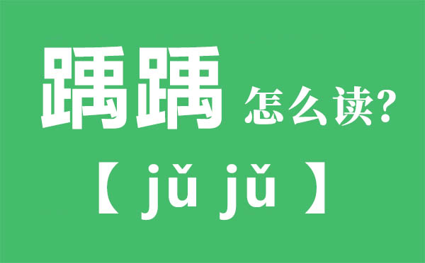踽踽怎么读 踽踽的拼音 踽踽是什么意思