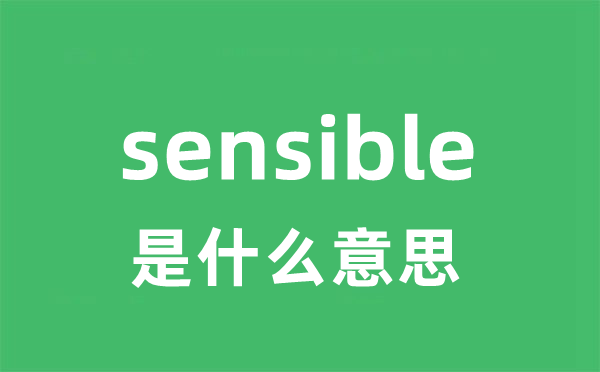 sensible是什么意思 sensible怎么读 中文翻译是什么？