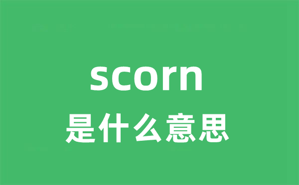 scorn是什么意思 scorn怎么读 中文翻译是什么？
