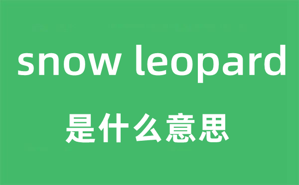 snow leopard是什么意思 snow leopard怎么读 snow leopard中文翻译是什么?