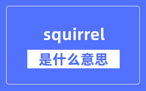 squirrel是什么意思 squirrel怎么读 中文翻译是什么?