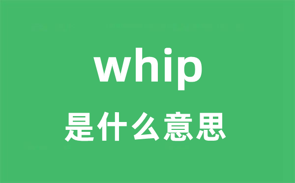 whip是什么意思 whip怎么读？
