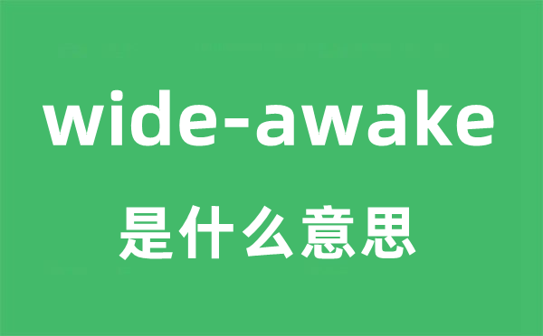 wide-awake是什么意思？