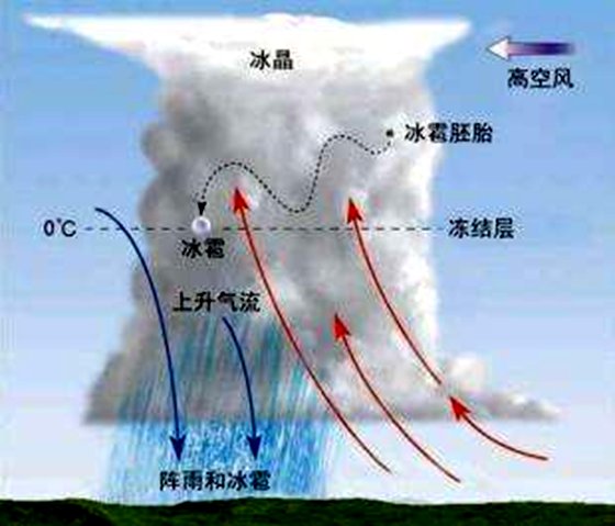 为什么夏天会下冰雹 冰雹产生原因及预防措施 十万个为什么
