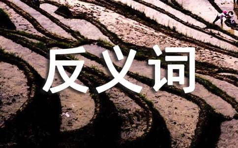 新鲜的反义词