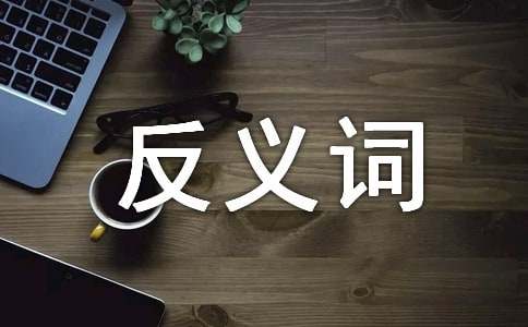 干涸反义词