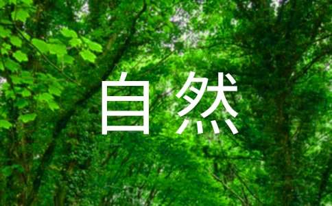 描写自然风光的四字词语