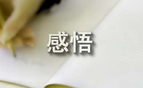 淡淡的感觉生活感悟（精选10篇）