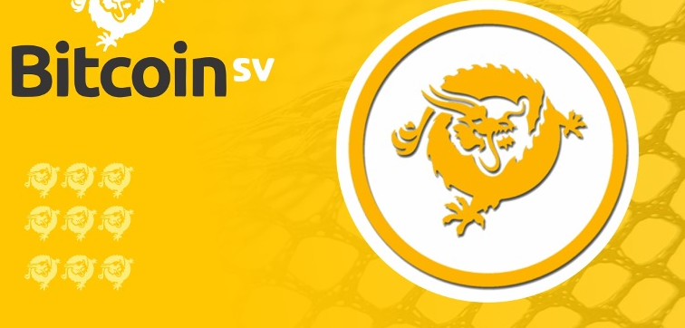 BSV vs ZEC：哪个更适合你？