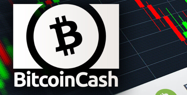 BSV vs ZEC：哪个更适合你？
