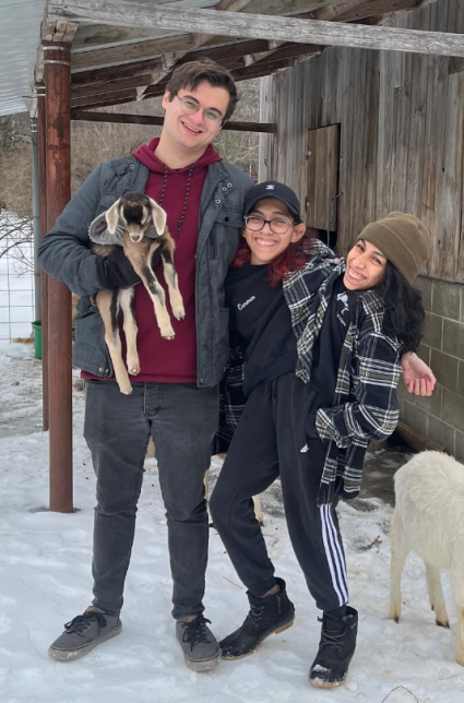 美国连体姐妹“3人婚姻”引热议 姐姐网恋奔现刚结婚 妹妹坚决不婚