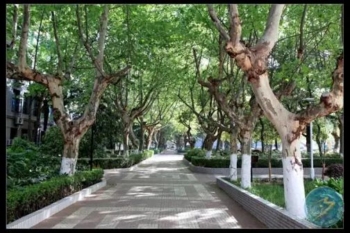 南京第十三中学简介概况（建校历史、地址、师资、校训、环境）