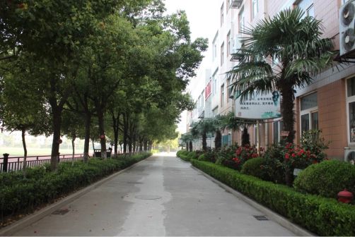 南京第二十九中学简介概况（建校历史、地址、师资、校训、环境）