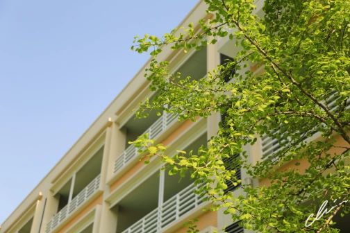 南京第五高级中学简介概况（建校历史、地址、师资、校训、环境）