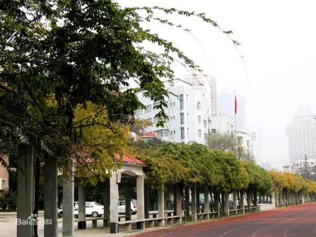 南京宁海中学有几个校区_地址分别在哪？