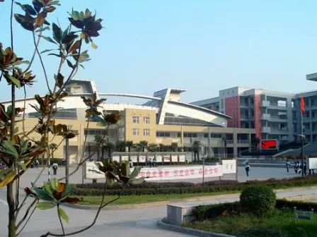 南京市雨花台中学在南京的排名第几,南外属于什么档次？