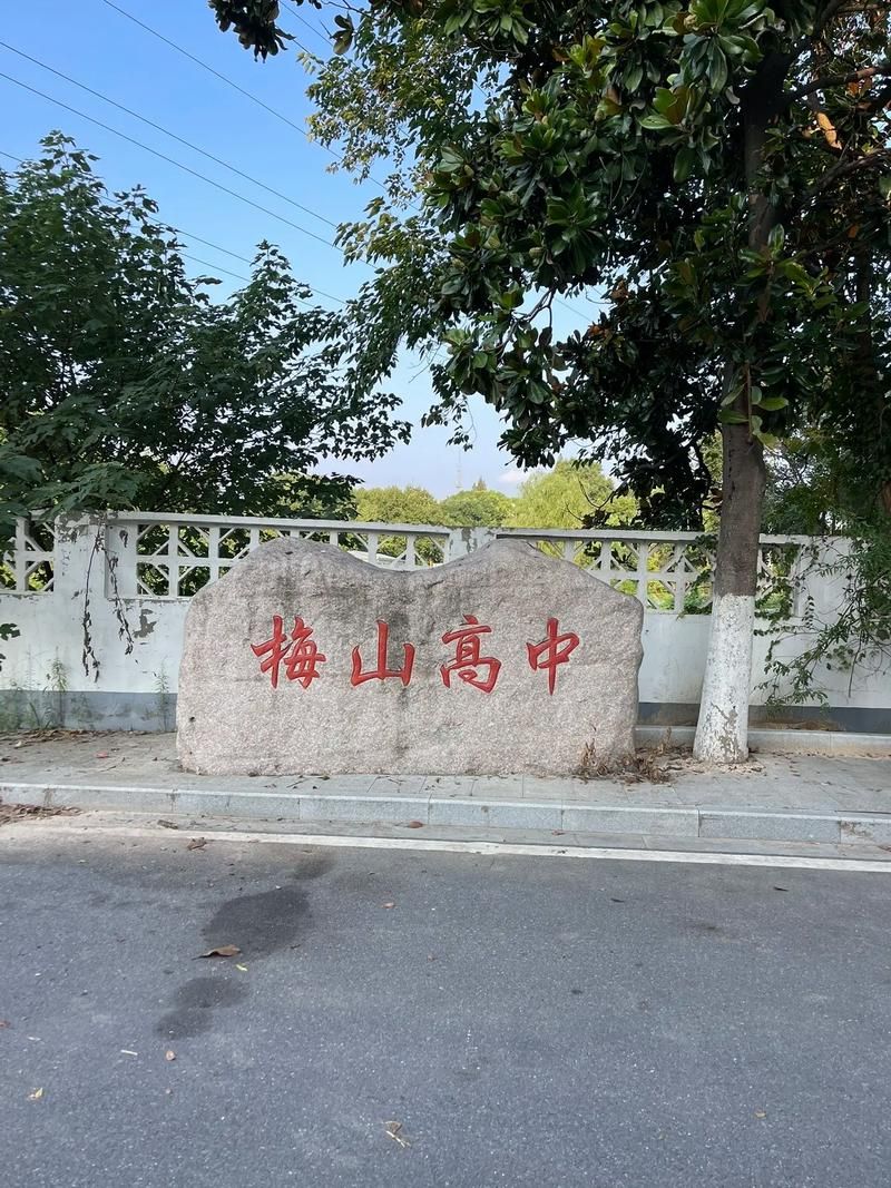 南京市梅山高级中学是公立还是私立,是重点中学吗？