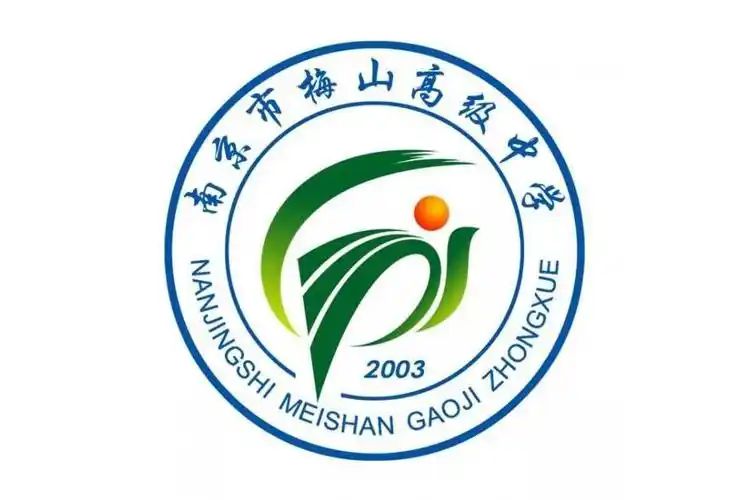 南京市梅山高级中学在南京的排名第几,南外属于什么档次？