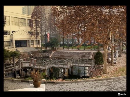 南京田家炳高级中学简介概况（建校历史、地址、师资、校训、环境）