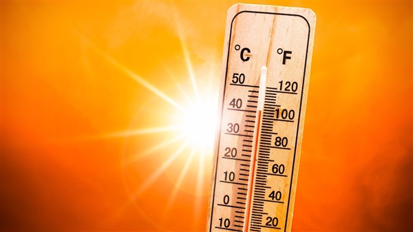 飙至46℃ 欧洲人在“烤箱”中自救：大部分家庭没装空调