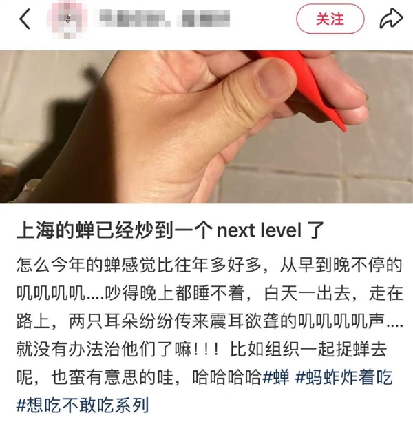 上海市民崩溃：今年的蝉为啥这么多！专家称是蝉“大年”