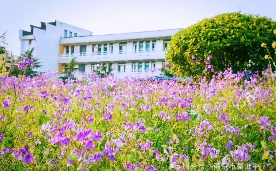 南京市秦淮中学地址在哪_在什么区？