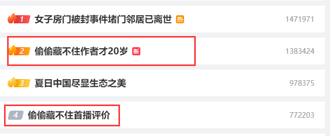 《偷偷藏不住》剧情介绍