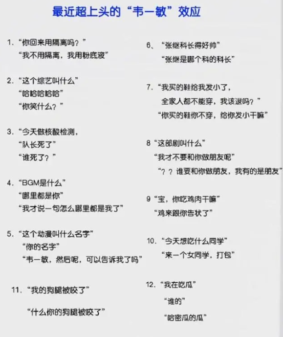 韦一敏这盛世如你所愿是什么意思？