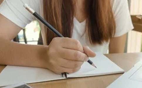 我们的伙伴作文300字7篇