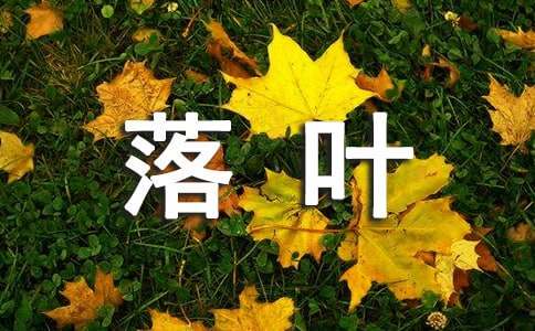 【精选】落叶的作文400字4篇