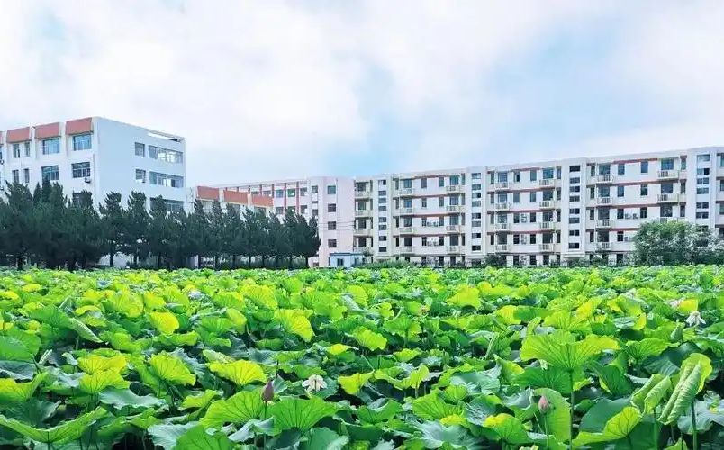 南京远景实验中学在南京的排名第几 远景实验中学属于什么档次？