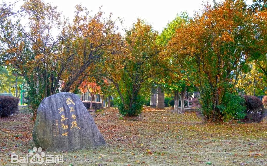 江苏省梁丰高级中学校区在哪_在哪个区？