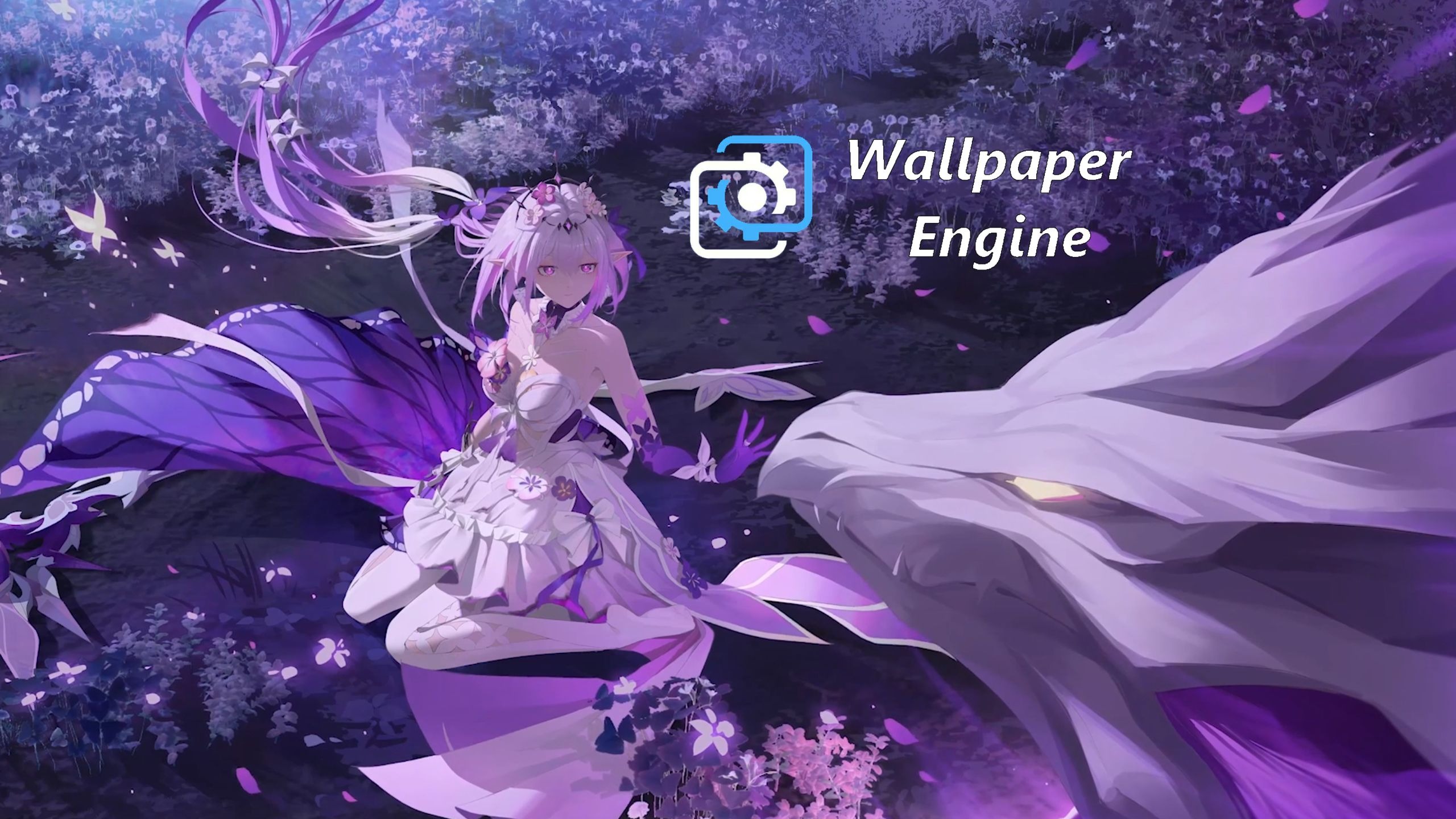 wallpaper拉视频进度条方法一览