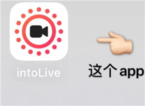 intoLive怎么转换为live图？