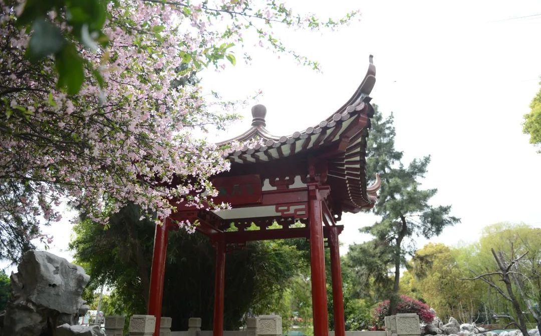 吴江盛泽中学简介概况（建校历史、地址、师资、校训、环境）
