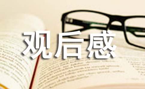 《戏台》观后感（通用15篇）