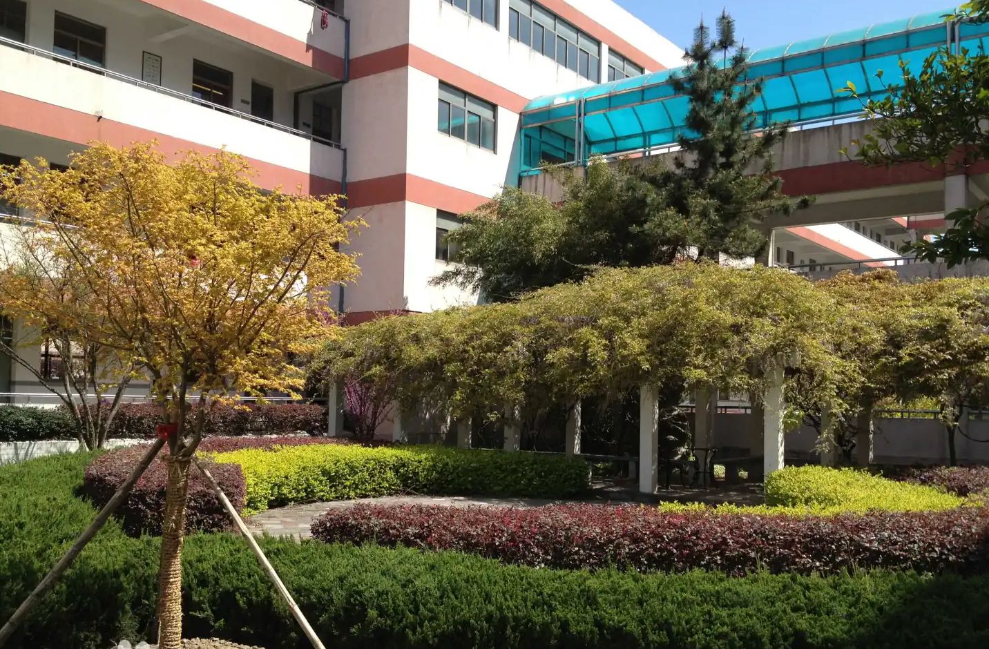 郑州外国语学校地址在哪里 位于哪个区？