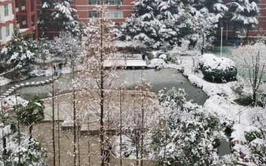 郑州外国语学校在郑州的排名第几,郑外属于什么档次？