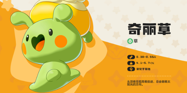 奇丽草