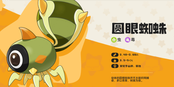 圆眼蜘蛛