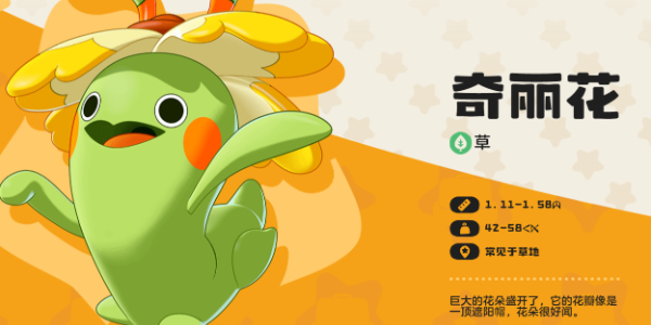 奇丽花