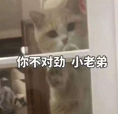 你不对劲是什么意思