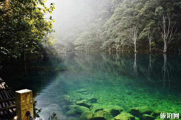2022湖北牛头山国家森林公园游玩攻略 - 景区介绍 - 门票 - 交通 景点介绍