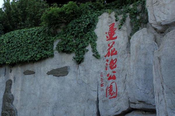 2024昆明莲花池公园旅游攻略 - 门票价格 - 优惠政策 - 开放时间 - 交通 - 地址 - 电话 - 天气